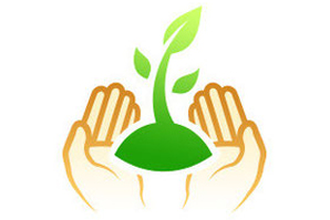 羽毛布団の丸八真綿 コラボイメージ