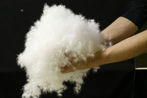 羽毛布団の丸八真綿 羽毛の原料