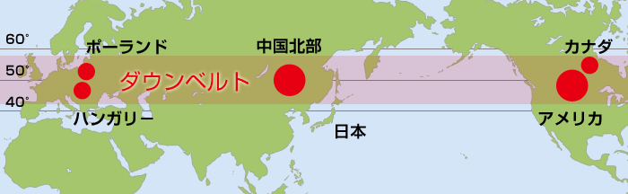 丸八布団 羽毛が出来るまで
