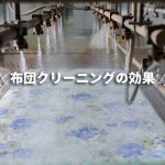 羽毛布団の丸八真綿 クリーニング効果の画像