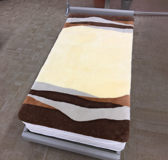 羽毛ふとんの丸八真綿 ファートンの画像