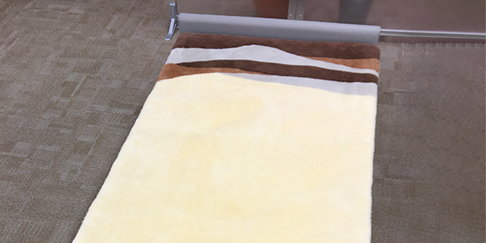 羽毛ふとんの丸八真綿 ファートンの画像